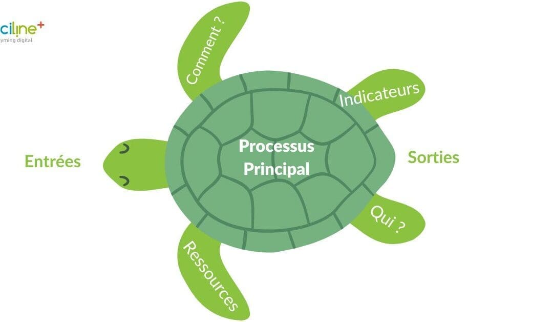 Tortue de Crosby : comprendre et optimiser vos processus qualité