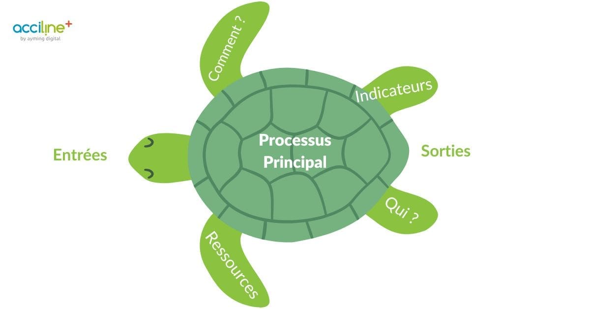 Schéma de la tortue de crosby