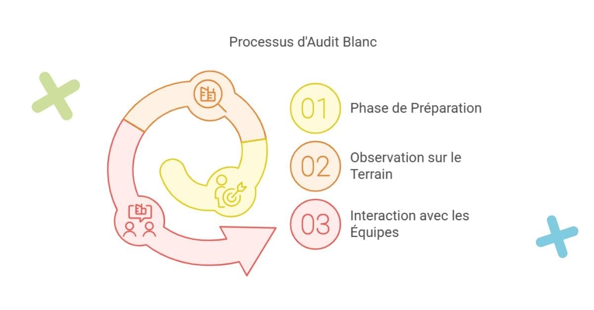 Schéma de la préparation, processus d'audit blanc