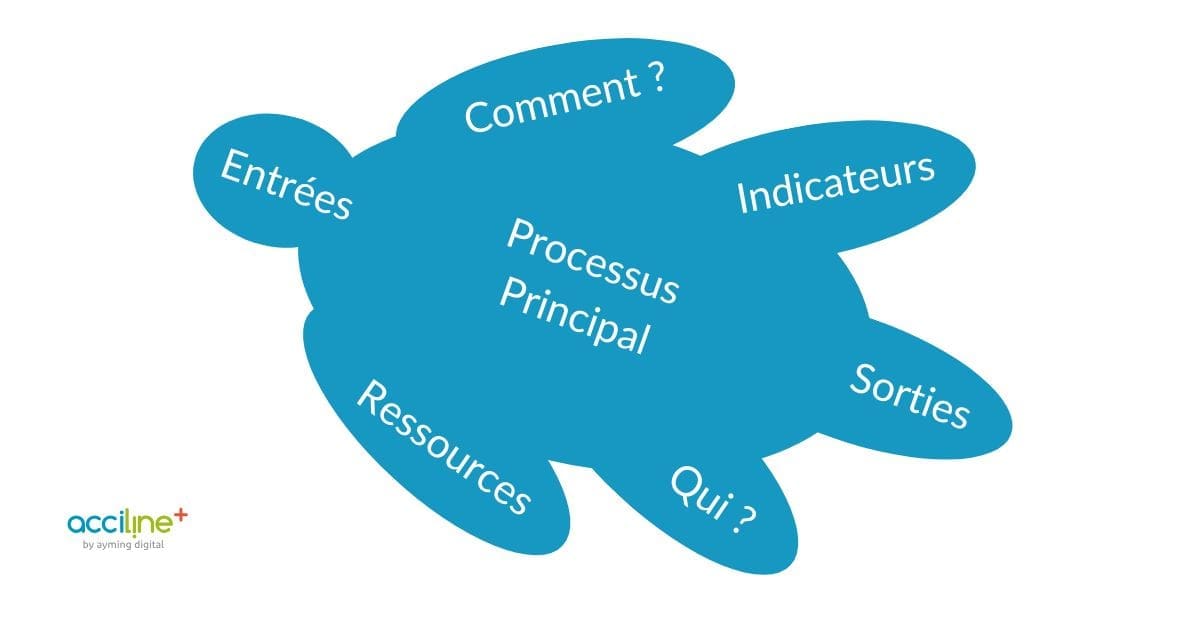 Schéma de la tortue de Crosby